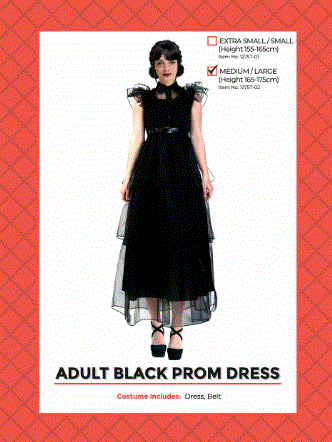 Adult Black Prom Dress Medium/Large