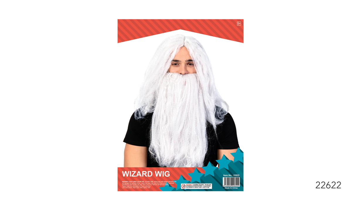 Deluxe Wizard Wig and Beard (Frizzy) Grey