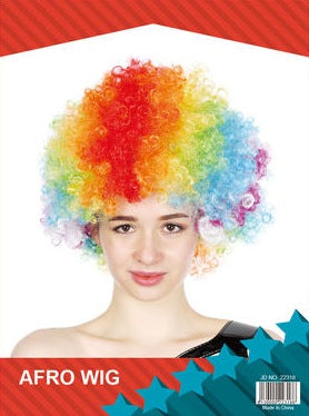 Afro  Wig Multi Coloured