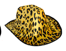 Cowboy Hat Cheetah Pattern