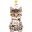 Cue The Catfetti Cat Foil Balloon 36"(91cm)