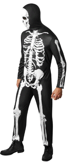 Skeleton Adult Costume - Large