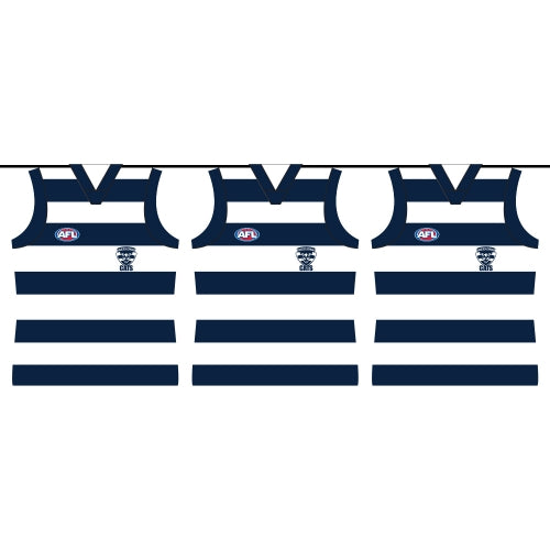 AFL Geelong Cats Party Bunting 4m