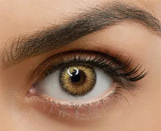 Beautytone Glittergolden Brown (1 Year) Contact Lens