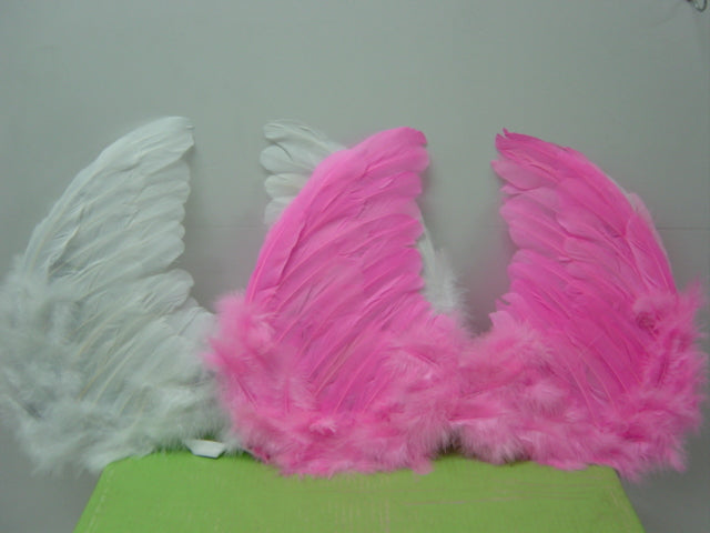 Feather Wings Pink 40x30cm