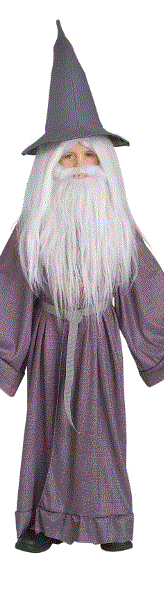 Gandalf Wig & Beard Set