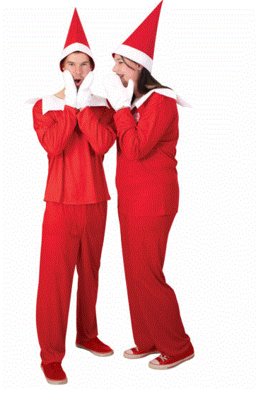 Elf On The Shelf Unisex Adult Costume STD