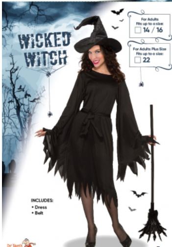 Wicked Witch Adult Costume