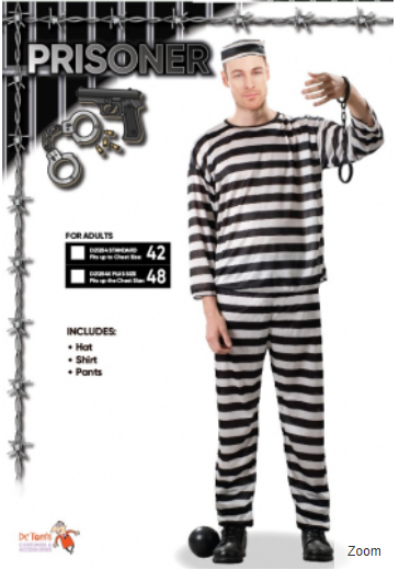 Prisoner Adult Costume