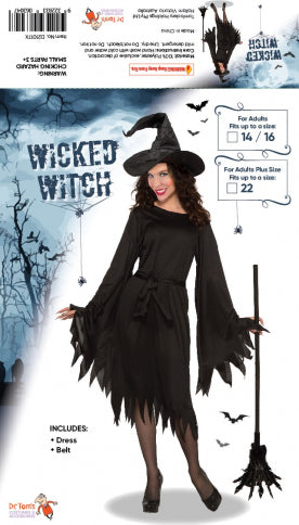 Wicked Witch Adult Costume Plus Size