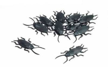 Roaches - Set Of 12