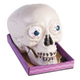 Led Skull With Light Up Eyes