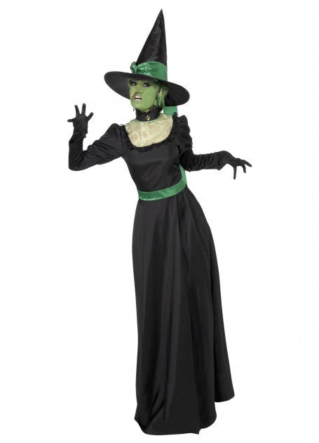 Wicked Witch Adult Costume