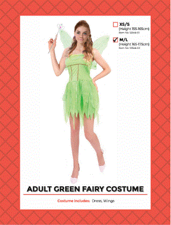 Green Fairy Adult  Costume